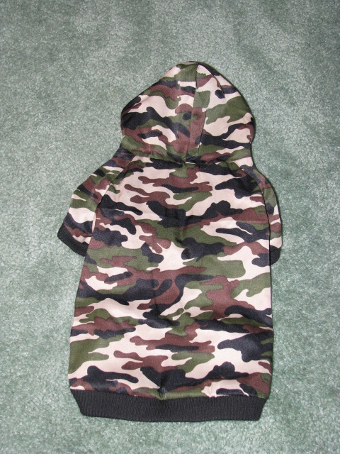 Back view of Camo Hoodie